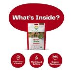 Amazing Grass Brain Booster Smoothie Mix, 30 Servings