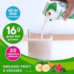 Orgain Organic Protein Shake - Vanilla Bean, 12 Pack