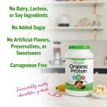 Orgain Vegan Protein Powder, Chocolate Peanut Butter