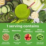 Orgain Organic Vegan Protein Powder with Greens - Vanilla Bean