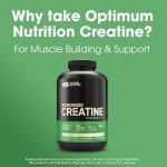 Unflavored Micronized Creatine Monohydrate Powder, 600g