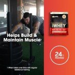 Optimum Nutrition Gold Standard Whey Protein, S'Mores