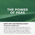 Evolve Berry Medley Plant-Based Protein Shake 12-Pack