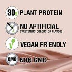 Vegan Chocolate Protein Shake - 30g Protein (12 Pack)
