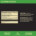 Optimum Nutrition L-Glutamine Recovery Capsules, 240 Count