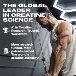 MuscleTech Platinum Creatine Monohydrate Powder, Unflavored