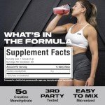 MuscleTech Platinum Creatine Monohydrate Powder, Unflavored