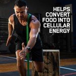 Zinc & Magnesium Supplement for Muscle Recovery & Endurance