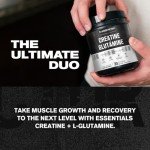 Jacked Factory Creatine + Glutamine Supplement - 30 Servings