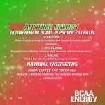 BCAA Energy Powder for Recovery – Watermelon Flavor