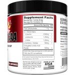 Evlution Stimulant-Free BCAA Powder - Fruit Punch