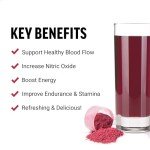Force Factor Total Beets Superfood Powder for Energy