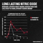 Jacked Factory N.O. XT Nitric Oxide Booster - 180 Caps