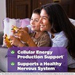Natrol B12 Fast Dissolve Tablets - Energy & Nerve Support