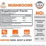Genius Mushroom Supplement for Energy and Focus