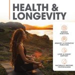 Genius Mushroom Supplement for Energy and Focus