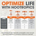 Genius Mushroom Supplement for Energy and Focus