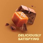 Chocolate Salted Caramel High Protein Bars - 12 Count