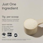 Collagen Peptides Powder for Healthy Skin & Joints