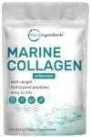 Marine Collagen Peptides - Wild Caught, 1lb