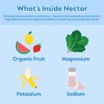 Nectar Electrolyte Hydration Packets - Sugar Free