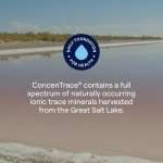 Trace Minerals ConcenTrace Liquid Drops for Hydration