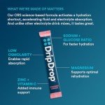 DripDrop Electrolyte Powder Pack - Juicy Variety