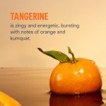 Liquid I.V. Hydration Multiplier + Immune Support - Tangerine