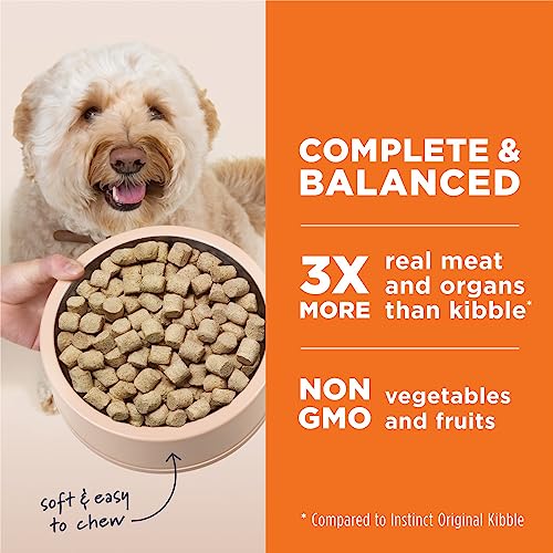 Instinct Freeze Dried Raw Grain Free Dog Food