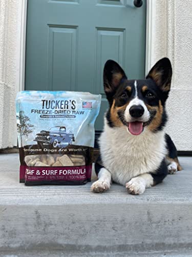 Tucker's Turf & Surf Freeze Dried Dog Food - 14oz