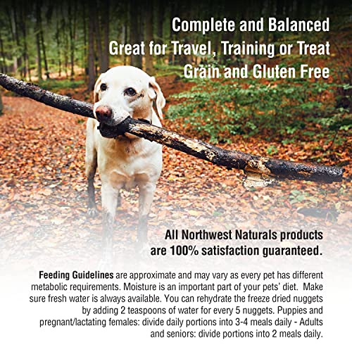 12 oz Beef Freeze Dried Raw Dog Food