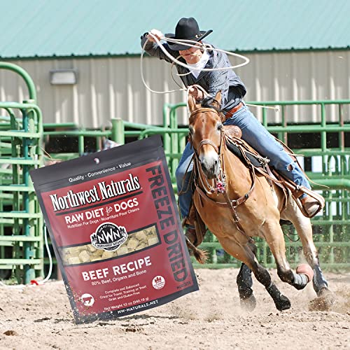 12 oz Beef Freeze Dried Raw Dog Food