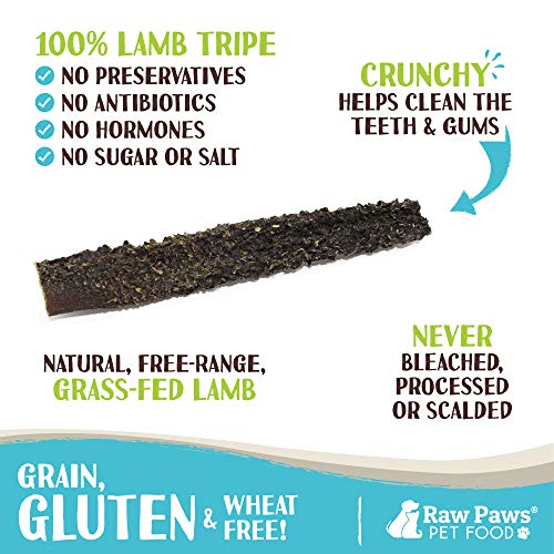 Raw Paws Lamb Tripe Sticks - All-natural Dog Treats