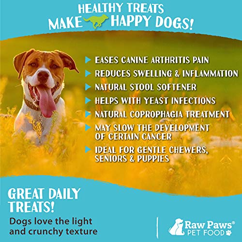 Raw Paws Lamb Tripe Sticks - All-natural Dog Treats