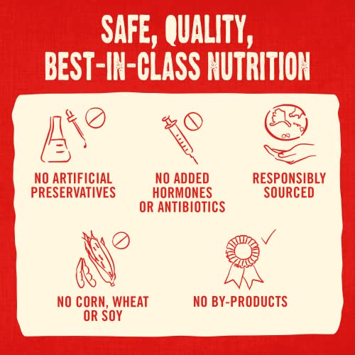 Stella & Chewy’s Freeze-Dried Raw Beef Dog Biscuits