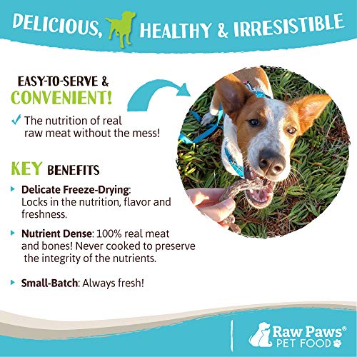 Freeze Dried Chicken Necks for Dogs & Cats