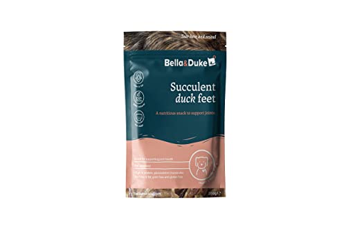 Bella & Duke Duck Feet: Joint Care for Dogs