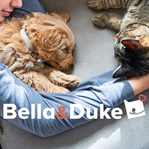 Bella & Duke Duck Feet: Joint Care for Dogs