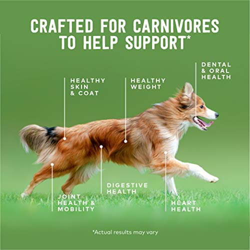 ZIWI Peak Air-Dried Beef Dog Food - Natural, High Protein