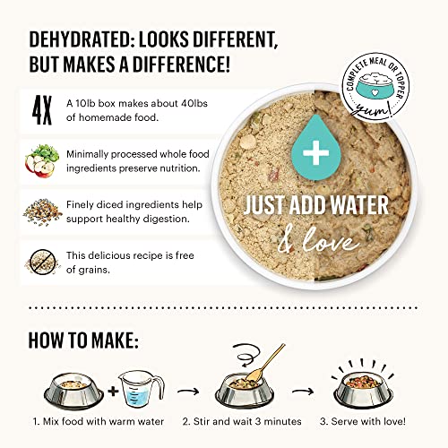 Honest Kitchen Dehydrated Turkey Dog Food - Complete Diet