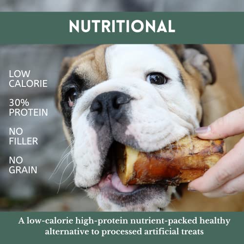 USA Made Single Ingredient Dog Bone Chew Treats - 3 Pack