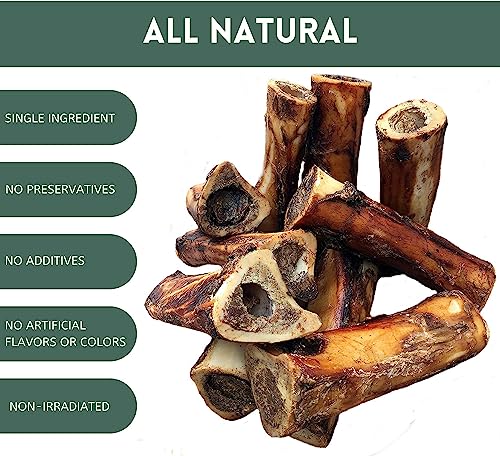 Large Breed Aggressive Chewers: USA Made Single Ingredient Raw Dog Bones