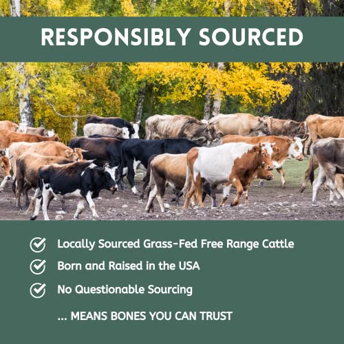 USA Made Single Ingredient Dog Bone Chew Treats - 3 Pack