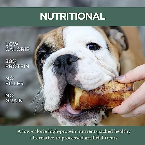 Large Breed Aggressive Chewers: USA Made Single Ingredient Raw Dog Bones