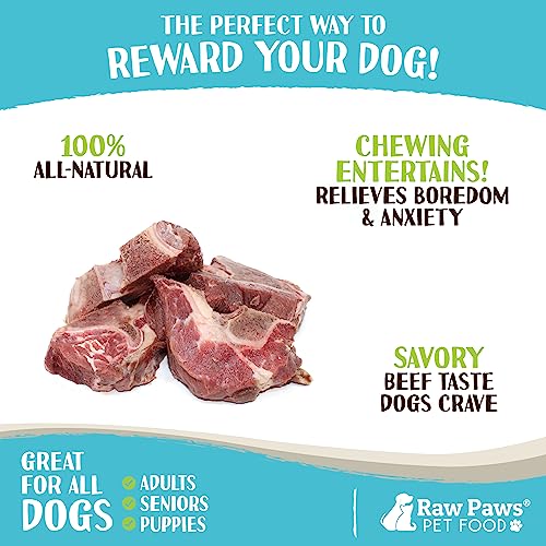 USA-Made Frozen Raw Beef Bones for Aggressive Chewers