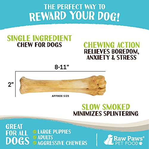 USA-Made Raw Cow Shin Bones for Large Dogs: 3-Pack