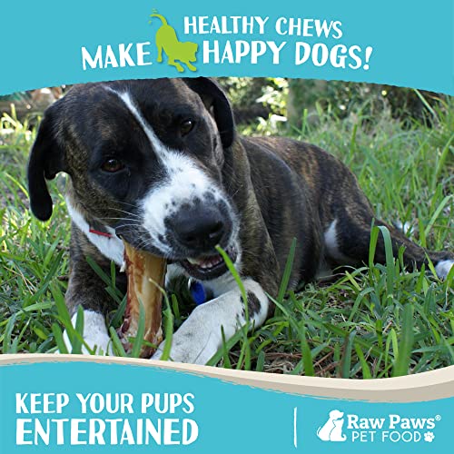 USA-Made Raw Cow Shin Bones for Large Dogs: 3-Pack
