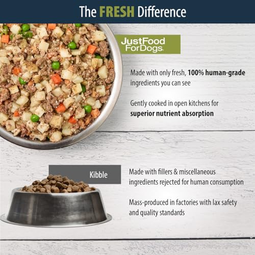 Human-Grade Beef and Russet Potato Dog Food