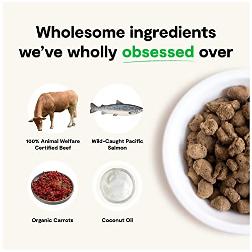 Open Farm Surf & Turf Freeze Dried Dog Food