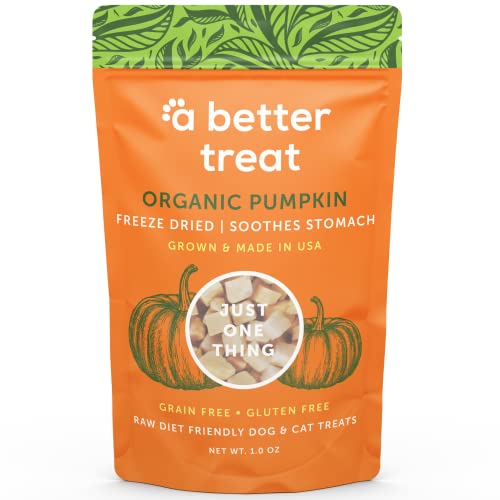 Freeze Dried Organic Pumpkin Dog and Cat Treats
